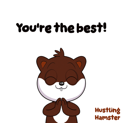 a cartoon of a hamster with the words you 're the best
