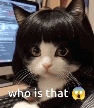 a black and white cat with a wig on its head is sitting in front of a computer with the words who is that above it