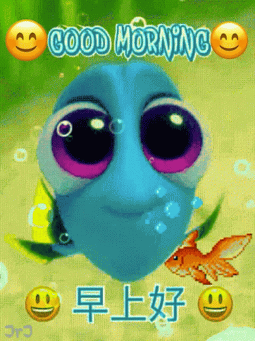 早上好 Good Morning GIF - 早上好 Good Morning Fish GIFs