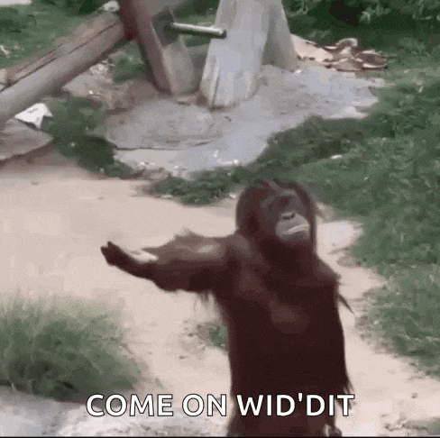an orangutan is standing on a dirt path with its arms outstretched and says `` come on wid dit '' .
