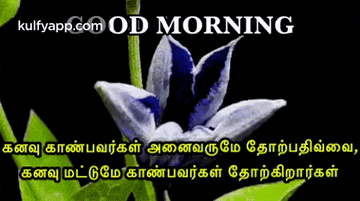 a picture of a blue flower with the words good morning in yellow letters