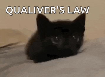 a black cat is laying on a bed looking at the camera .