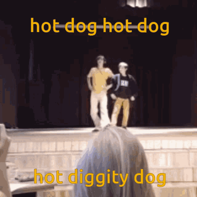 Hot Dog Vmcis Buging GIF - Hot Dog Vmcis Buging Par Brivu Latviju GIFs