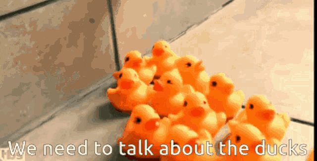 James Veitch We Need To Talk GIF - James Veitch We Need To Talk About The Ducks GIFs
