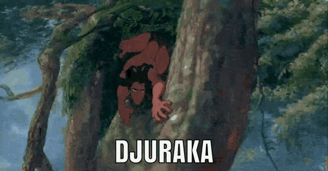 Djuraka Tarzan GIF - Djuraka Tarzan Dj Khaled GIFs