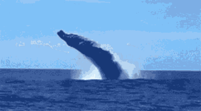 a person riding a surfboard in the ocean