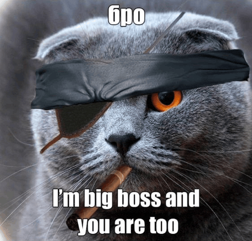 a cat with a bandana around its eye and a cigar in its mouth says i 'm big boss and you are too