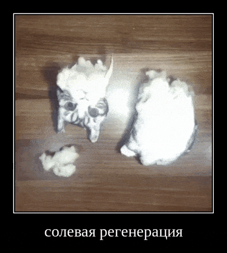 a picture of a cat made of foam with a foreign language caption