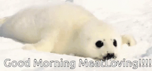 Good Morning Meatlover GIF - Good Morning Meatlover Meat GIFs