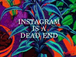 a painting of a plant with the words instagram is a dead end on it