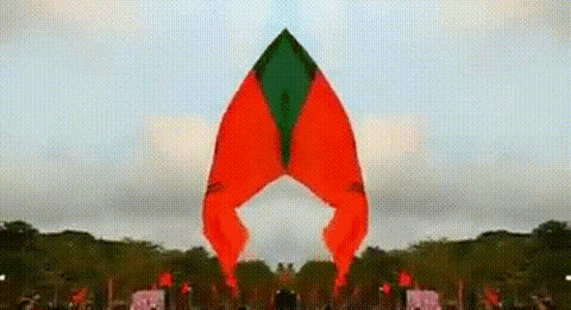 Bjp Rss GIF - Bjp Rss India GIFs