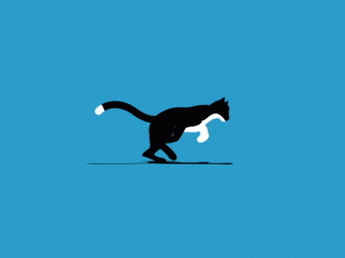Cat Running GIF - Cat Running GIFs