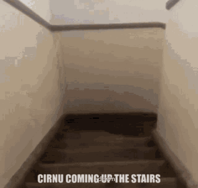 Cirno Fumo Stairs GIF - Cirno Fumo Stairs GIFs