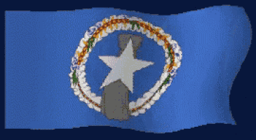 a blue flag with a white star in a circle of flowers