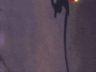 a close up of a person 's feet on a roller skate