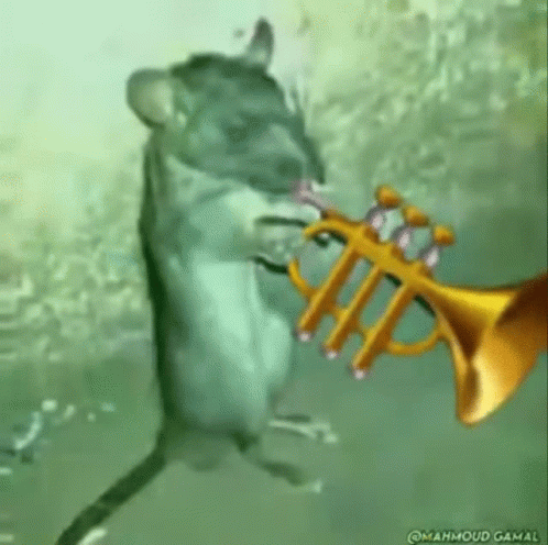 Trumpet Mouse GIF - Trumpet Mouse GIFs