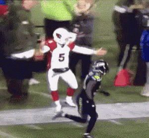 a football player wearing a number 5 jersey is running on a field .