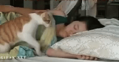 Wake Up Lying On The Bed GIF - Wake Up Lying On The Bed Sleep GIFs