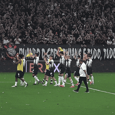 Sport Club Corinthians Sccp GIF