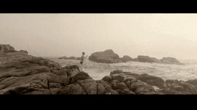 a person standing on a rocky shoreline looking at the ocean