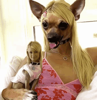 a woman is holding a small dog in her arms