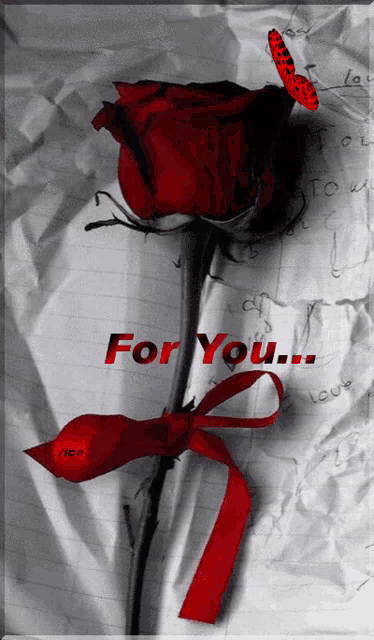 a red rose tied with a red ribbon with the words for you
