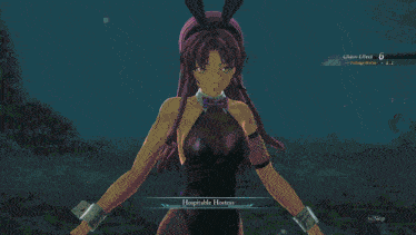 a screen shot of a video game that says " hopitable hostes "