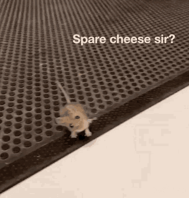 Mouse Spare GIF - Mouse Spare Cheese GIFs