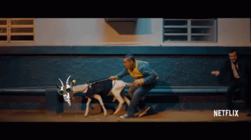 Stealing Snipe GIF - Stealing Snipe Goat Tribe GIFs
