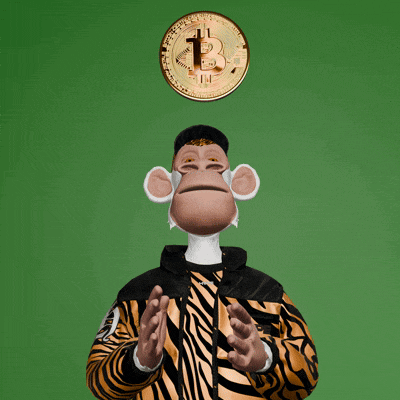 a monkey in a zebra print jacket is holding a bitcoin