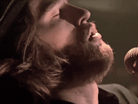 a man with long hair and a beard sings into a microphone