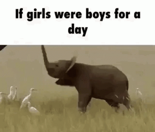Girls Being Boys For A Day GIF - Girls Being Boys For A Day GIFs