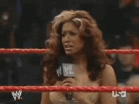 a wrestling match is being broadcasted on usa network
