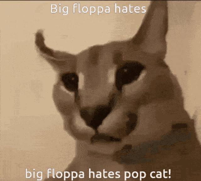 Flop Big Floppa GIF