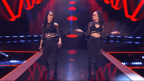 two women are wrestling on a stage with the renegades written on the screen