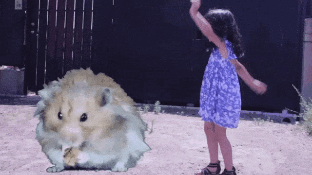a little girl in a blue dress is standing next to a large hamster