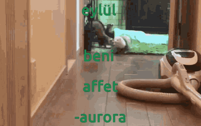 a vacuum cleaner is in a hallway with the words beni affet aurora
