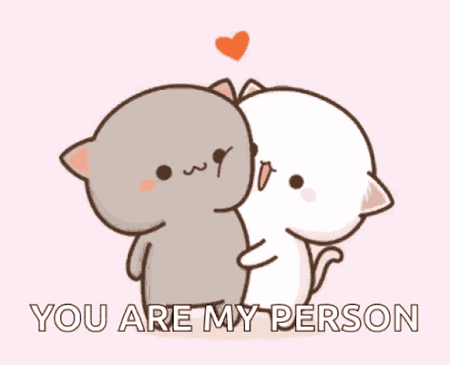 a couple of cartoon cats hugging each other with the words `` you are my person '' .