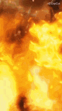 a close up of a fire with the words capcut in the corner