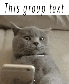 a cat is sitting on a couch looking at a cell phone and making a funny face .