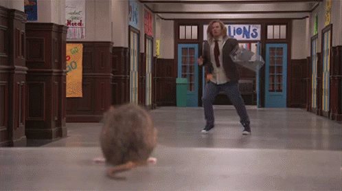 Scared GIF - School Of Rock Scared Rat GIFs
