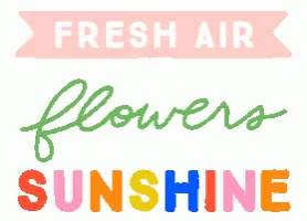Spring Flowers GIF - Spring Flowers Sunshine GIFs