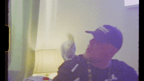 a man wearing a hat that says ny on it is holding a bird