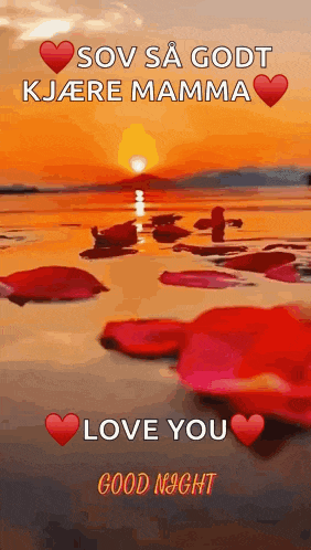 a good night greeting card with a sunset and roses on the beach