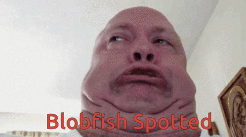 Blob Blob Fish GIF - Blob Blob Fish Funny Face GIFs