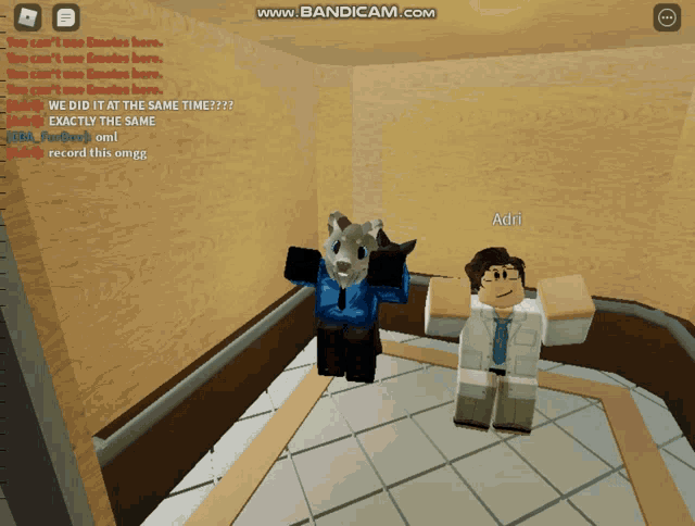 a screenshot of a video game with the name adri on the bottom