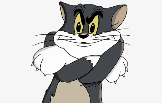a cartoon cat with a very angry look on its face