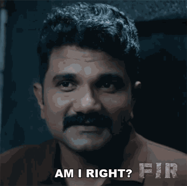 Am I Right Fir Movie GIF