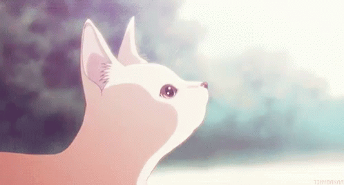 Cat Boop GIF - Cat Boop Anime GIFs