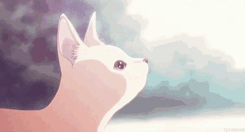 Cat Boop GIF